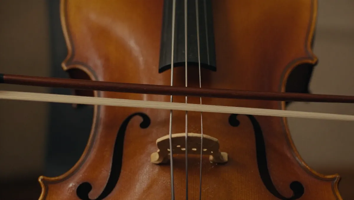 Close-up of cello strings over the wooden bridge with a bow resting across them